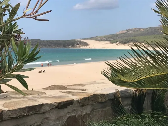 Vista de Loft Bolonia