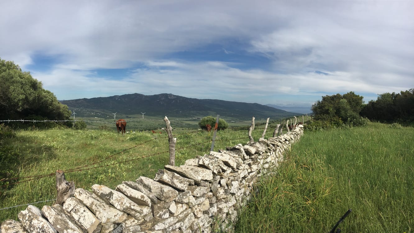 Costa de Tarifa