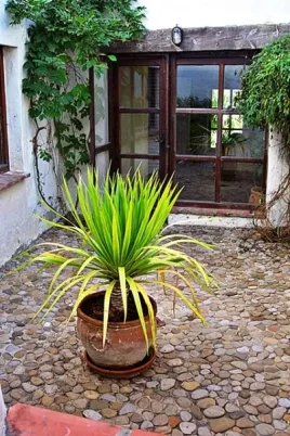 Vista de Villa Grimaldi
